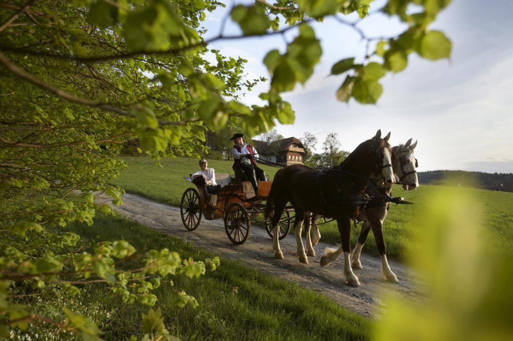 Ferienhaus Troadkasten - Familie Friedrich Hartberg Exterior foto